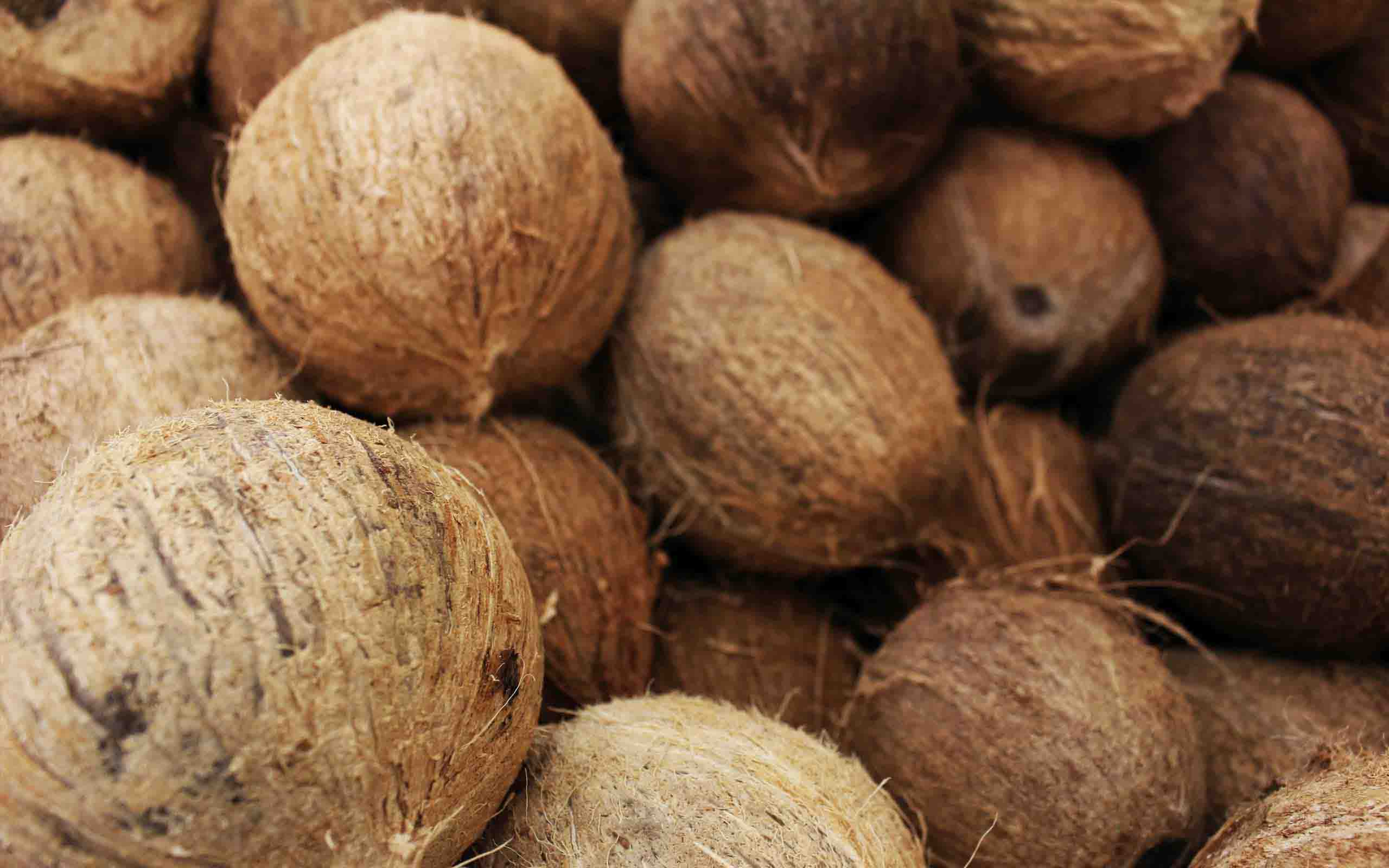 Coconut