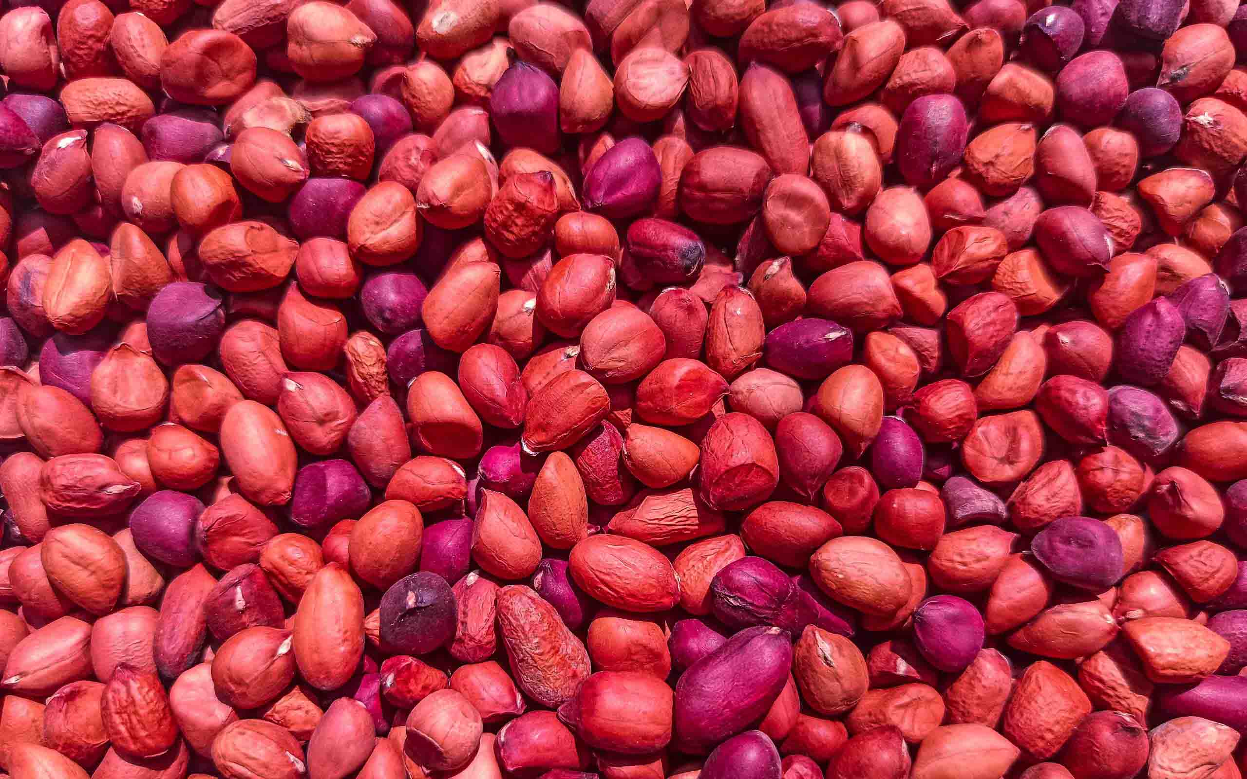 ground-nuts