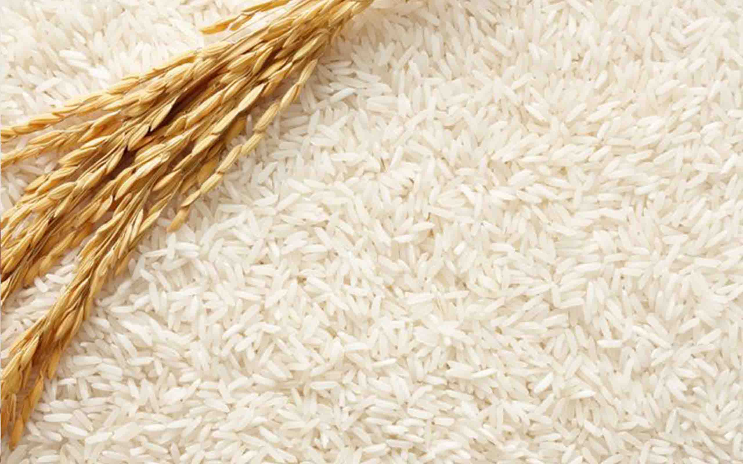 rice