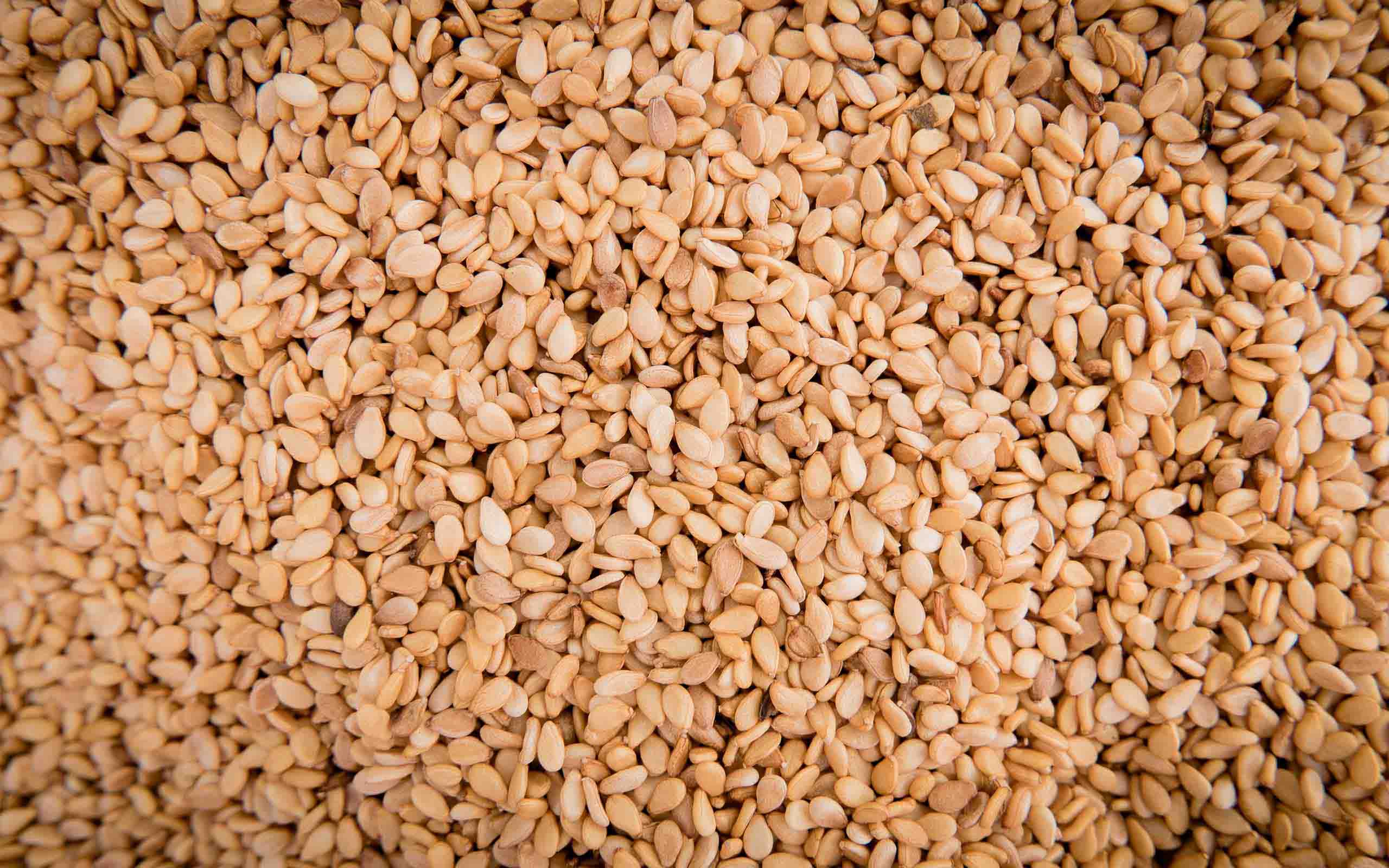 sesame