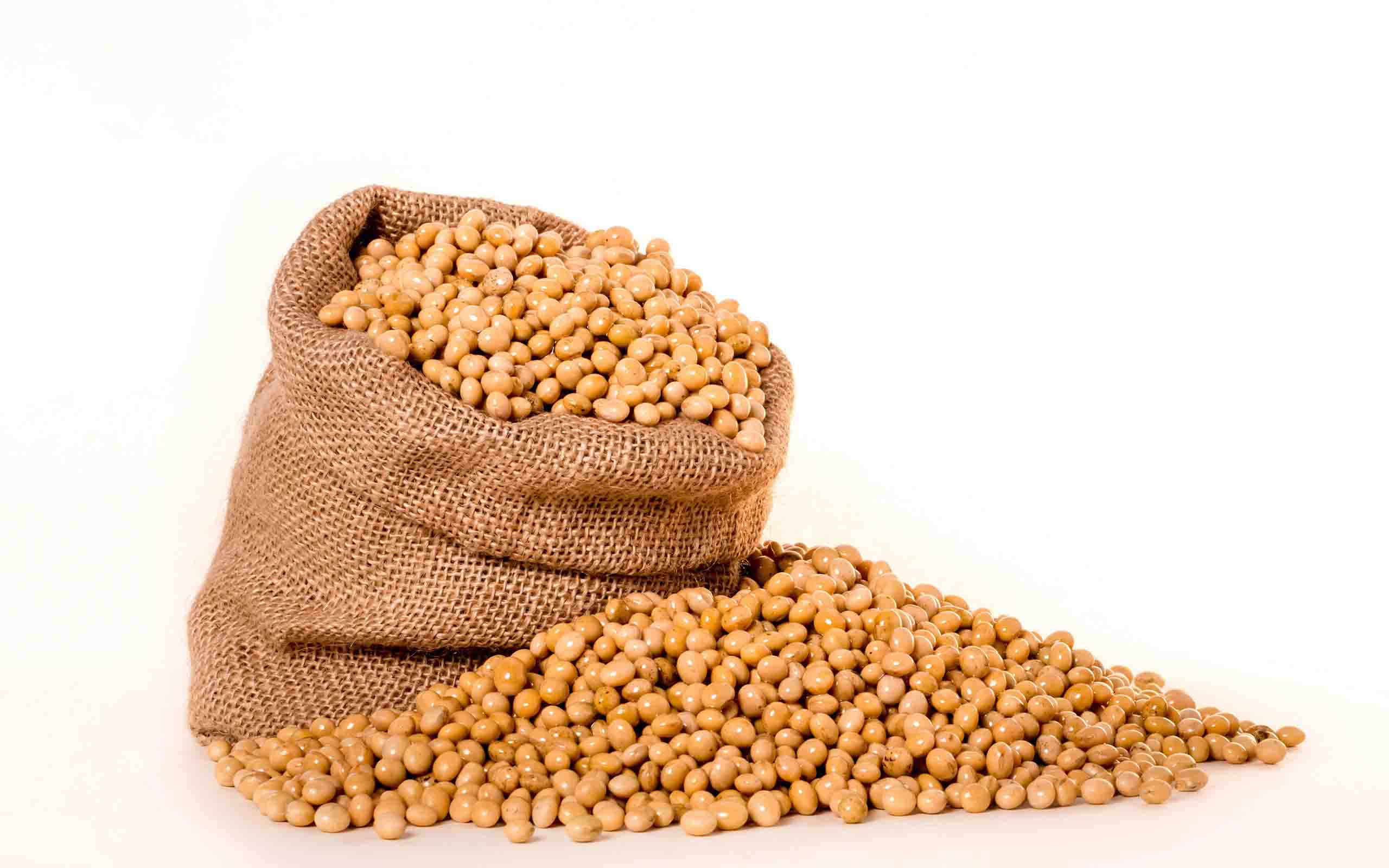 soybeans
